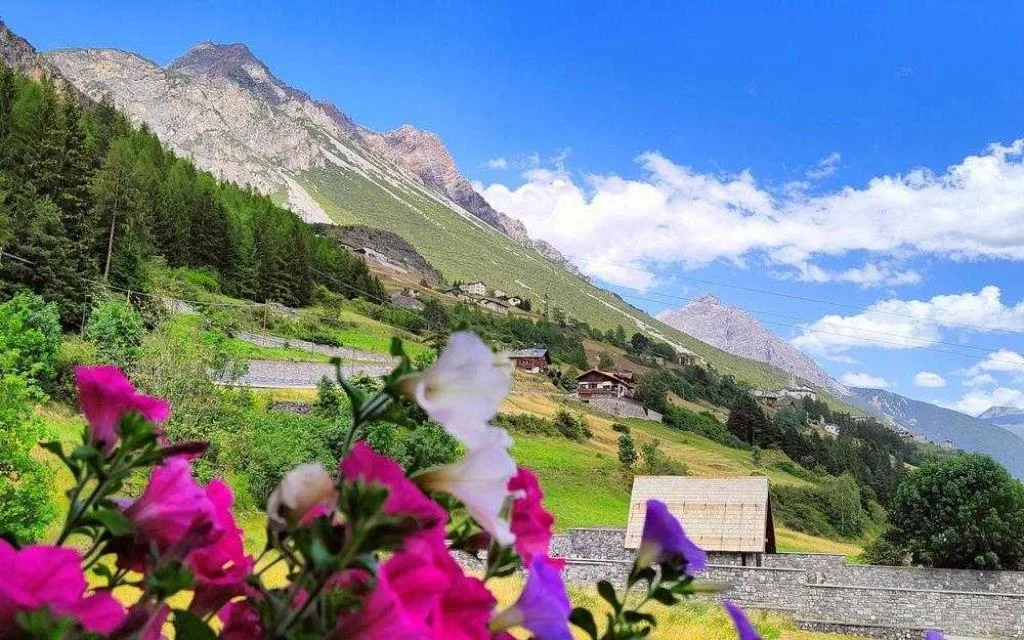Giardino