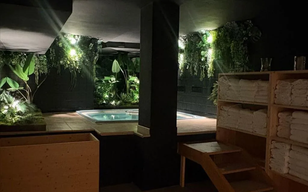 wellness 1