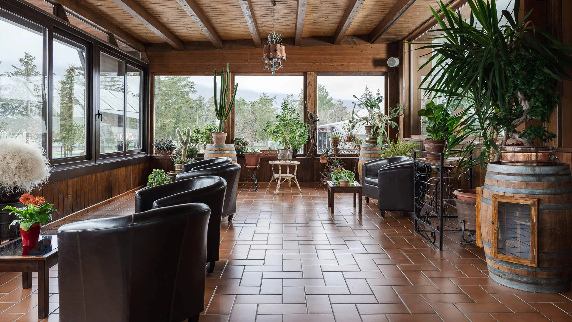 Veranda con poltrone in pelle, numerose piante verdi e ampie finestre affacciate sul verde