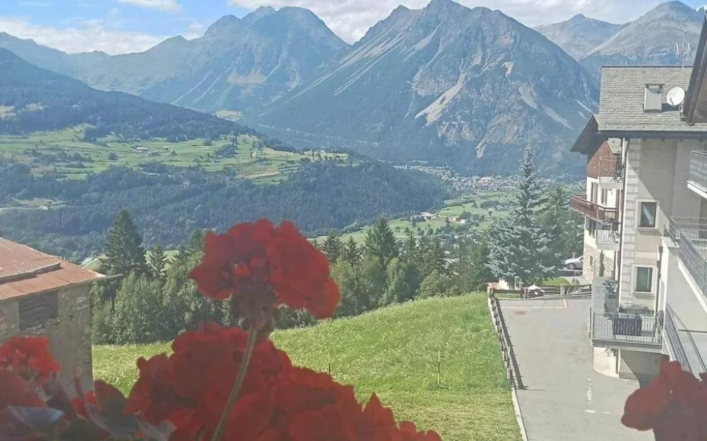 Panorama