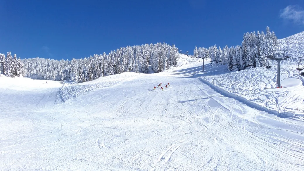 Pista da sci innevata con sciatori e seggiovia tra abeti carichi di neve sotto cielo azzurro